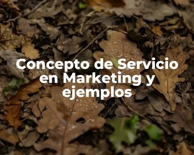 Concepto de Servicio en Marketing y ejemplos