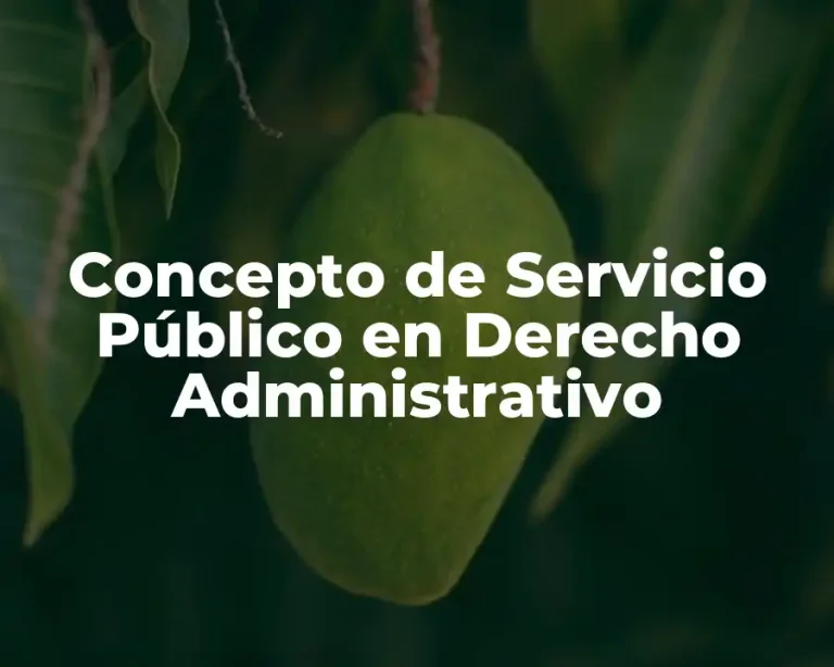 Concepto de Servicio Público en Derecho Administrativo