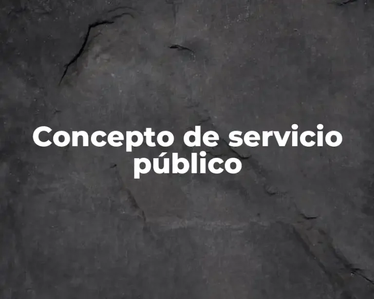 Concepto de servicio público