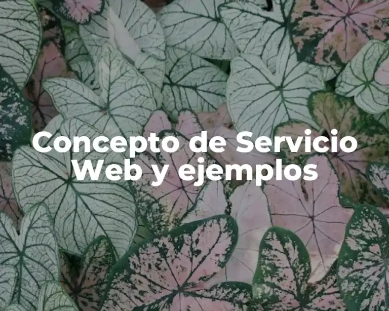 Concepto de Servicio Web y ejemplos