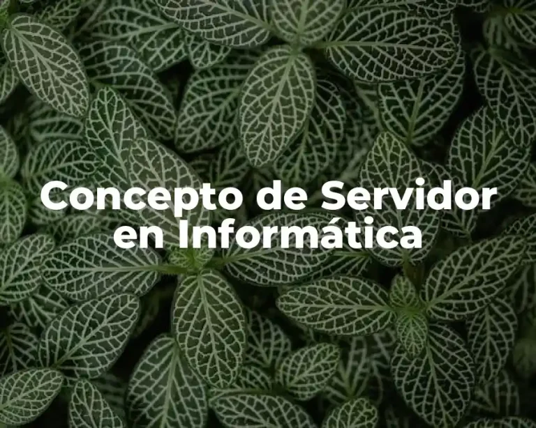 Concepto de Servidor en Informática