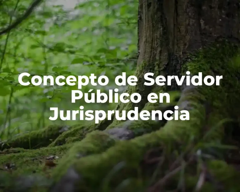 Concepto de Servidor Público en Jurisprudencia