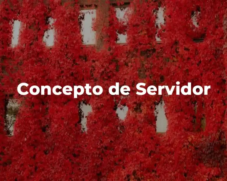 Concepto de Servidor