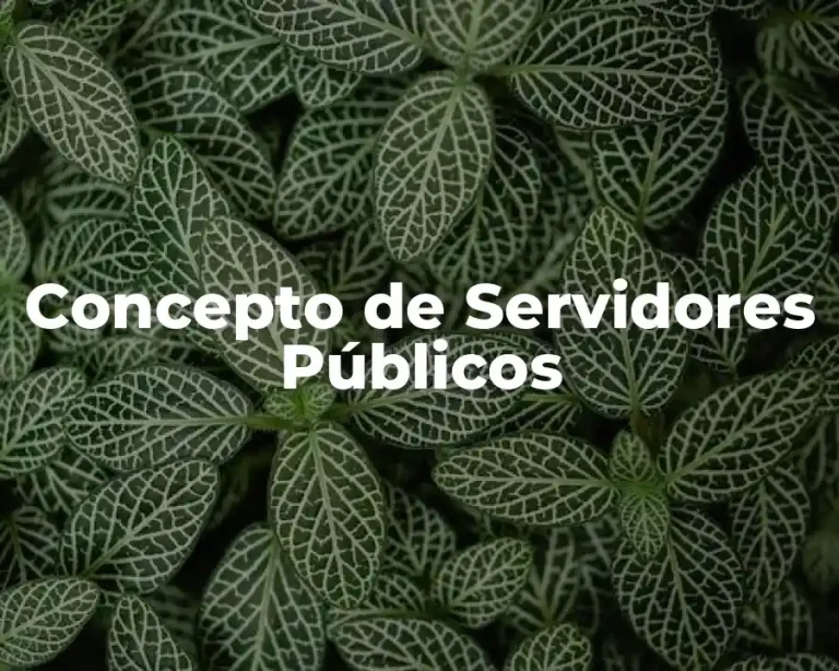Concepto de Servidores Públicos