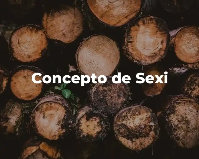 Concepto de Sexi