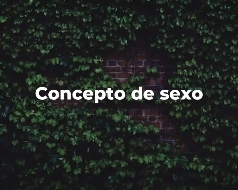 Concepto de sexo
