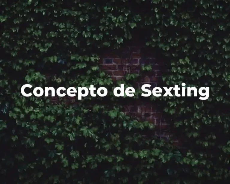 Concepto de Sexting