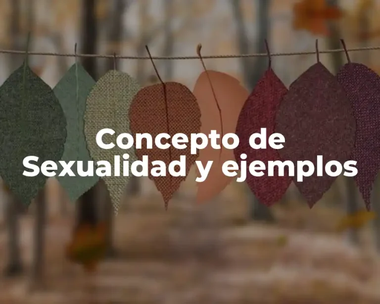 Concepto de Sexualidad y ejemplos