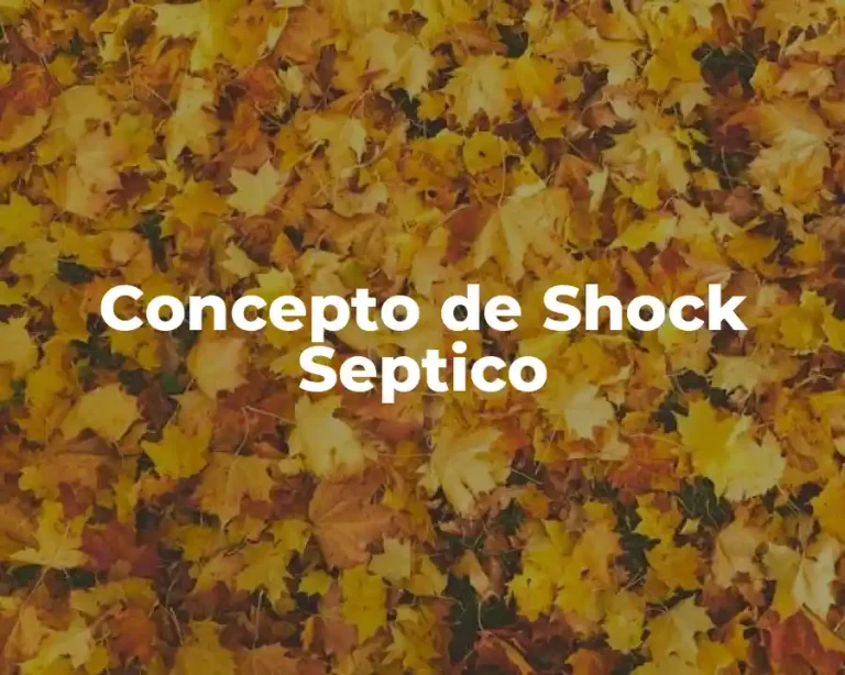 Concepto de Shock Septico