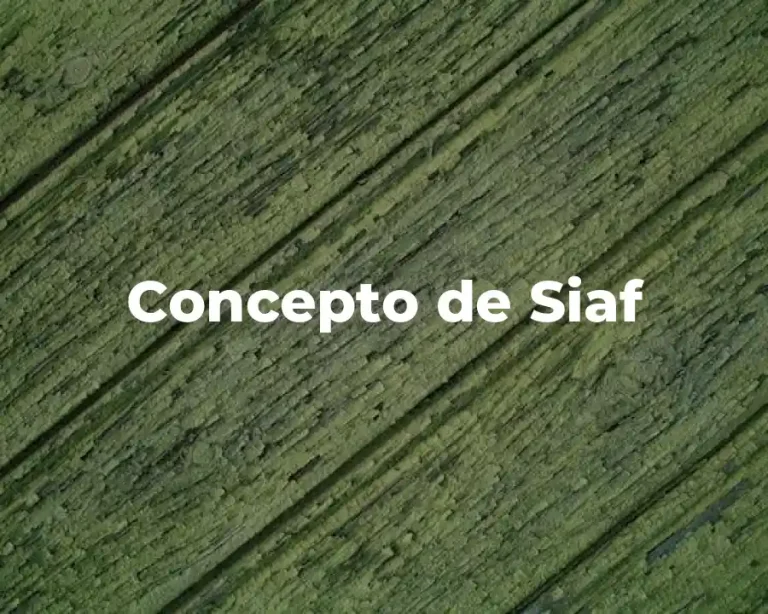 Concepto de Siaf