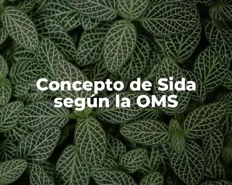 Concepto de Sida según la OMS