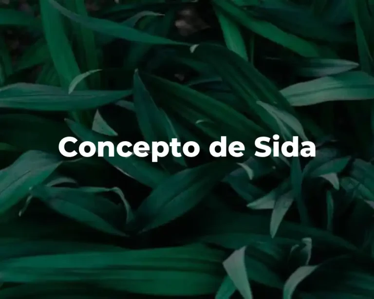 Concepto de Sida