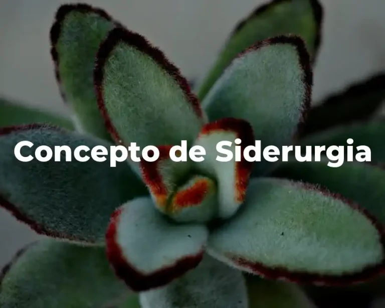 Concepto de Siderurgia
