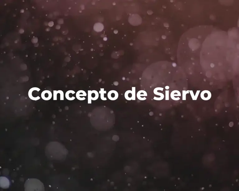 Concepto de Siervo