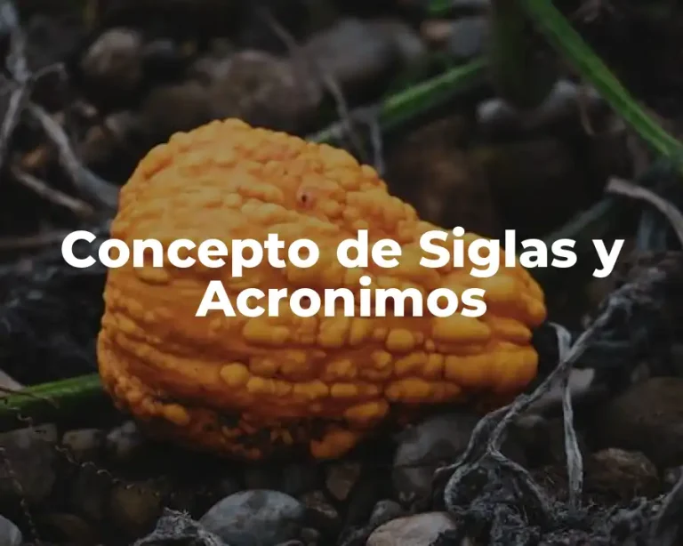 Concepto de Siglas y Acronimos