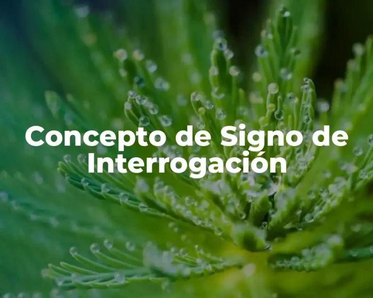 Concepto de Signo de Interrogación