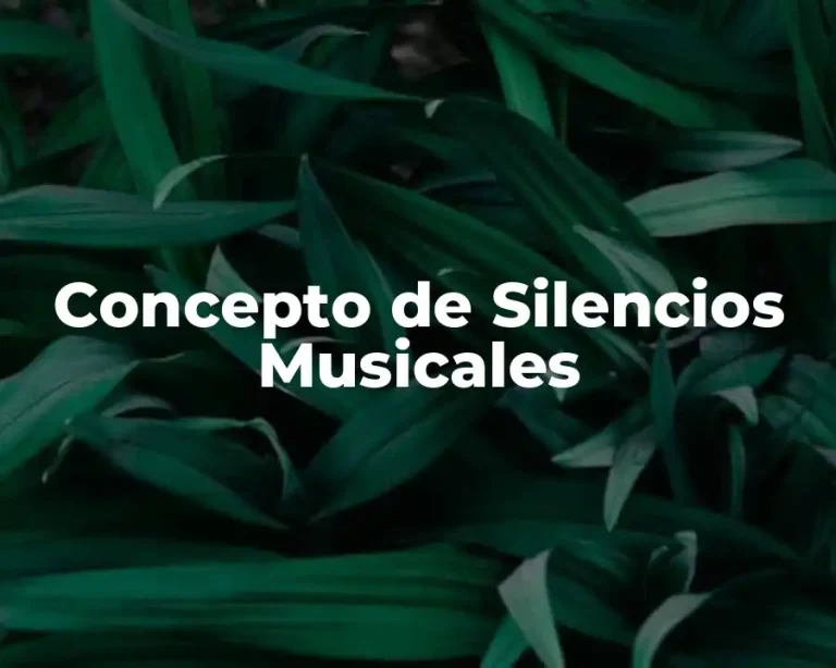 Concepto de Silencios Musicales