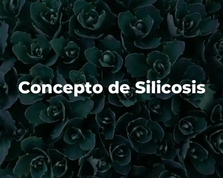 Concepto de Silicosis