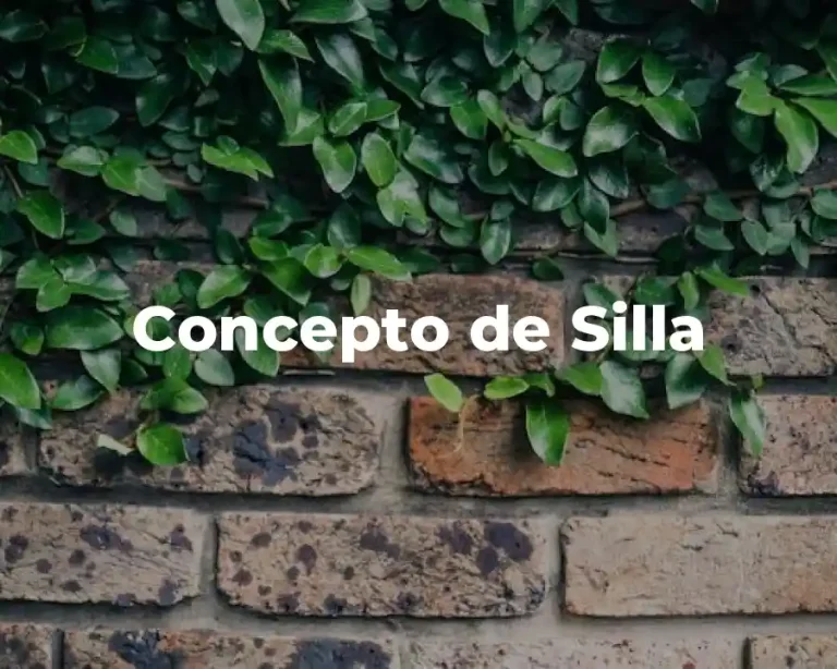 Concepto de Silla