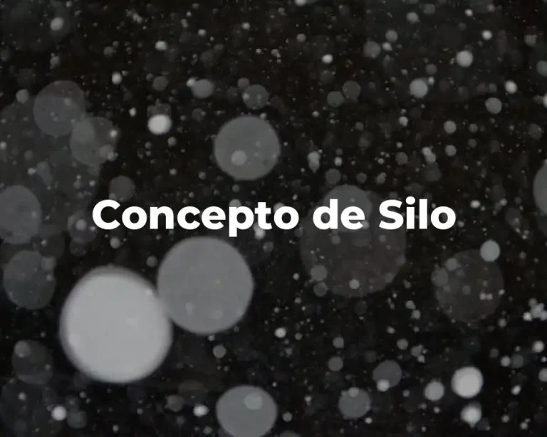 Concepto de Silo