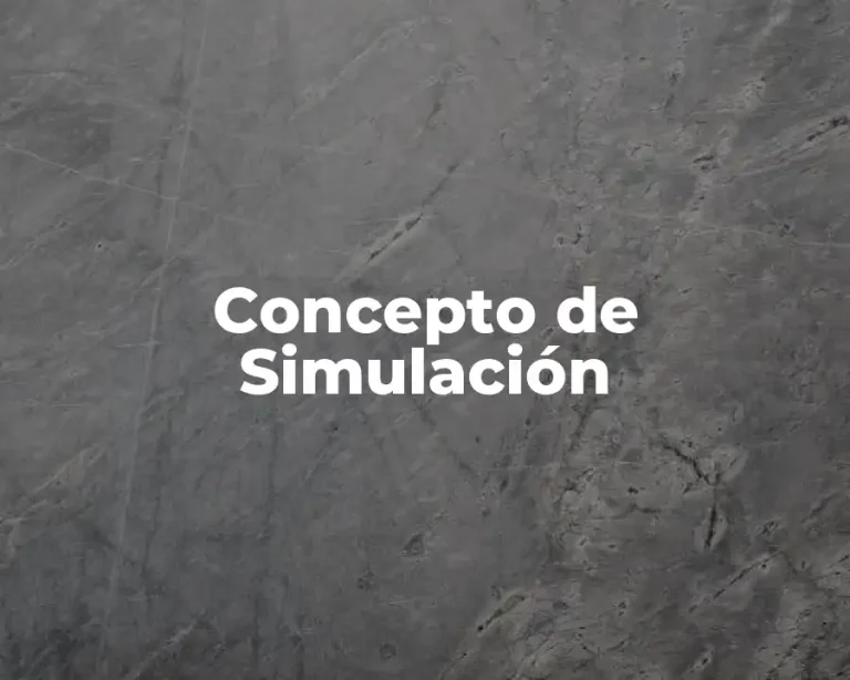 Concepto de Simulación