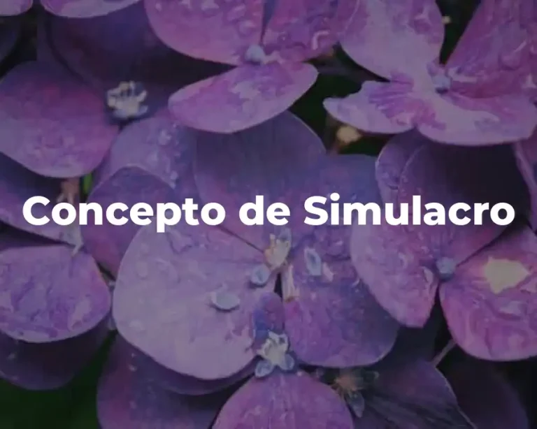 Concepto de Simulacro