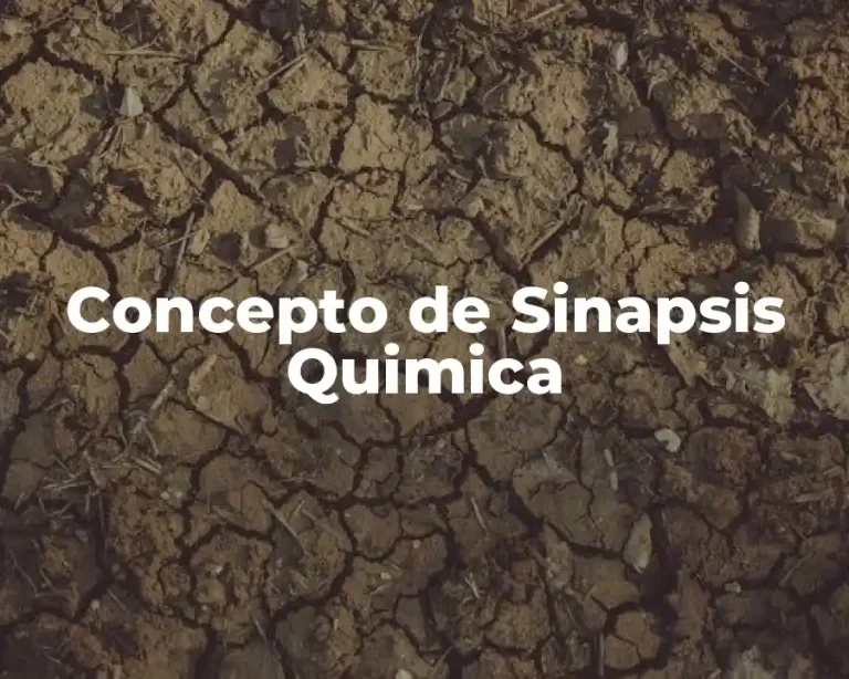 Concepto de Sinapsis Quimica