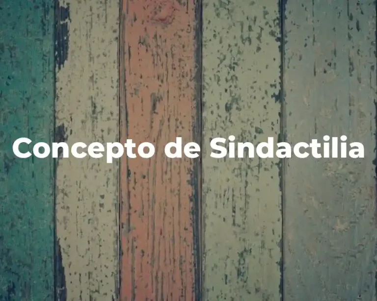 Concepto de Sindactilia