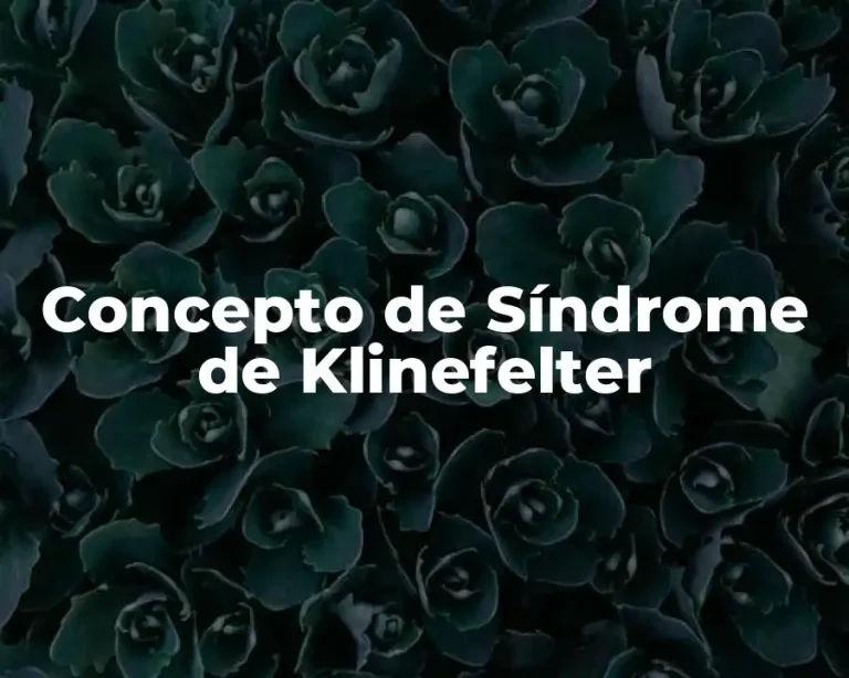 Concepto de Síndrome de Klinefelter