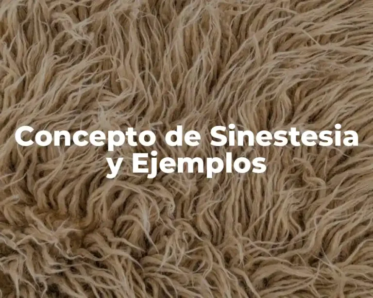 Concepto de Sinestesia y Ejemplos