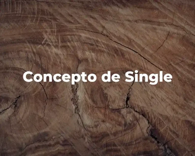 Concepto de Single