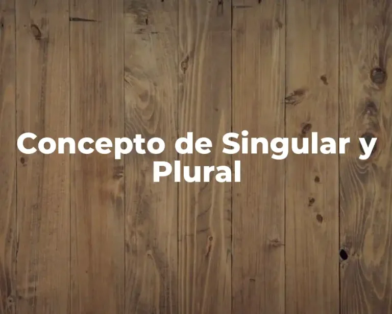 Concepto de Singular y Plural