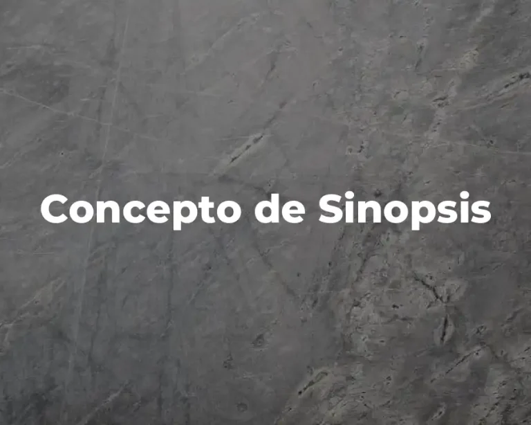 Concepto de Sinopsis