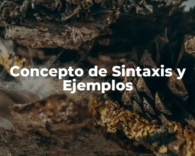 Concepto de Sintaxis y Ejemplos