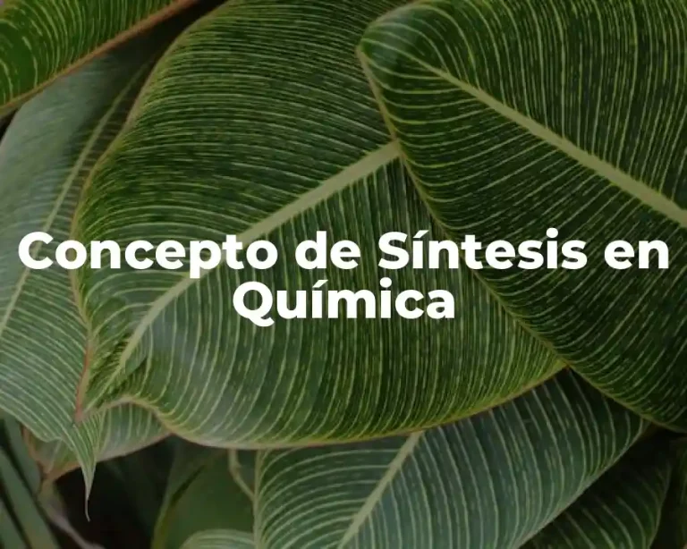 Concepto de Síntesis en Química