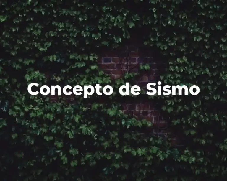 Concepto de Sismo