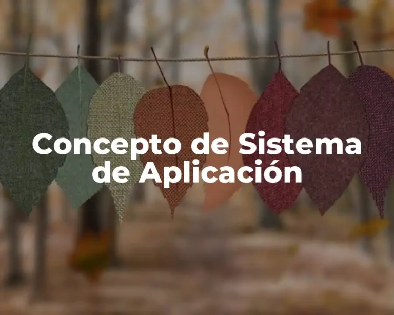 Concepto de Sistema de Aplicación