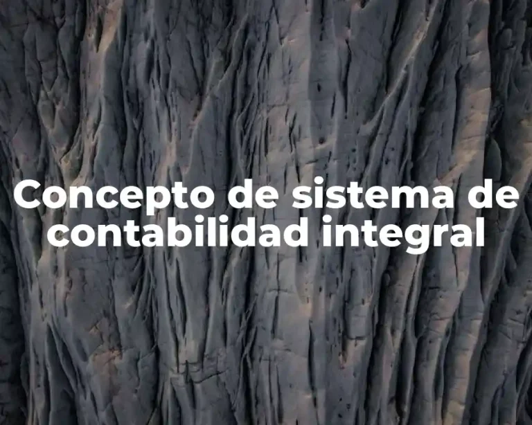Concepto de sistema de contabilidad integral