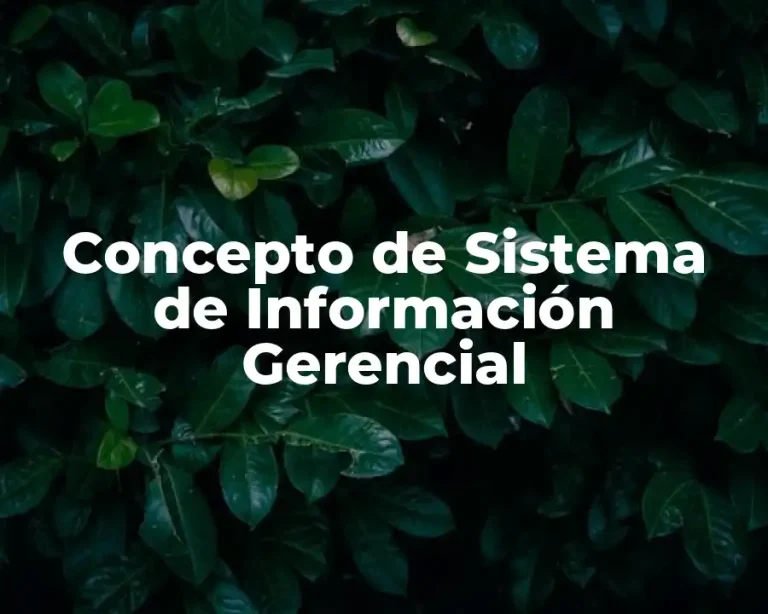 Concepto de Sistema de Información Gerencial