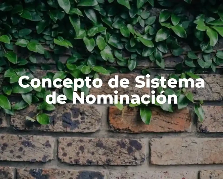 Concepto de Sistema de Nominación