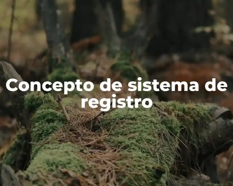 Concepto de sistema de registro