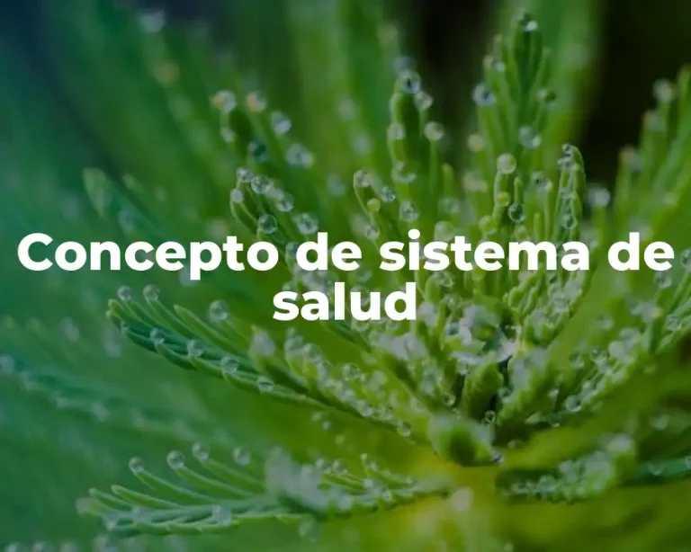 Concepto de sistema de salud