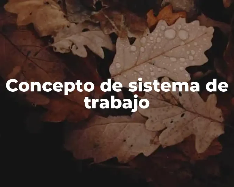 Concepto de sistema de trabajo