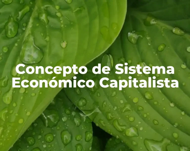 Concepto de Sistema Económico Capitalista