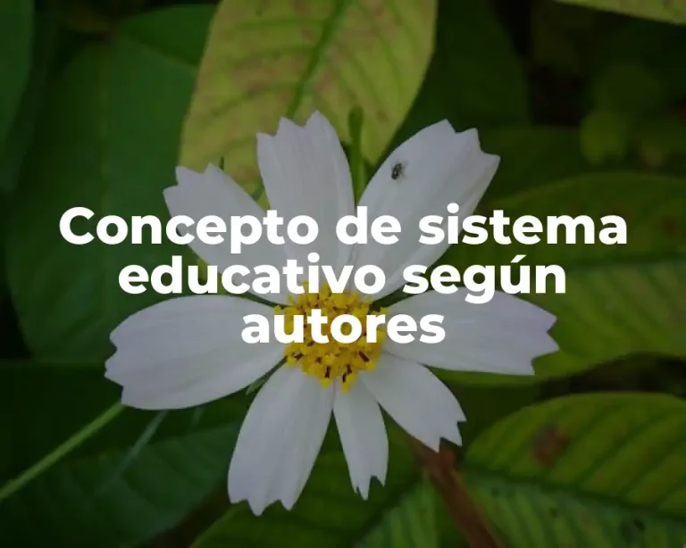 Concepto de sistema educativo según autores