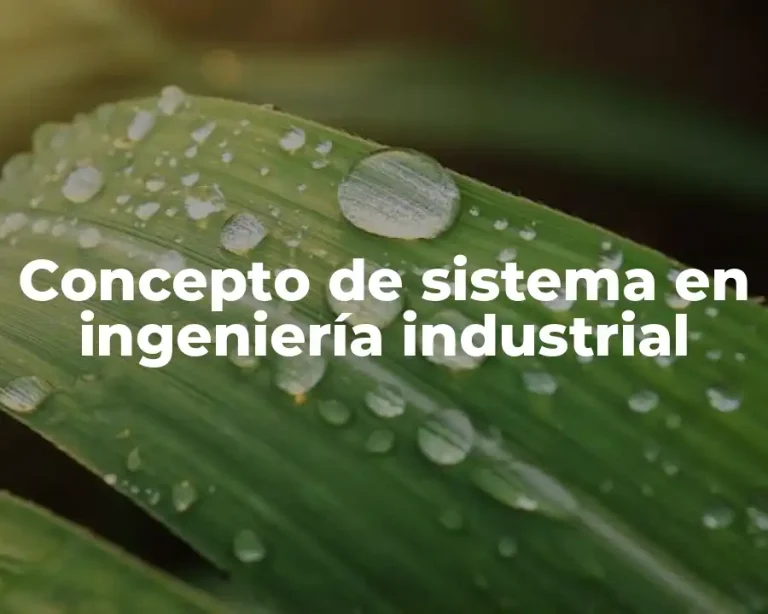 Concepto de sistema en ingeniería industrial
