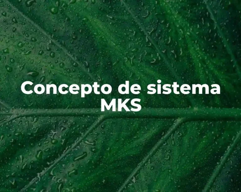 Concepto de sistema MKS