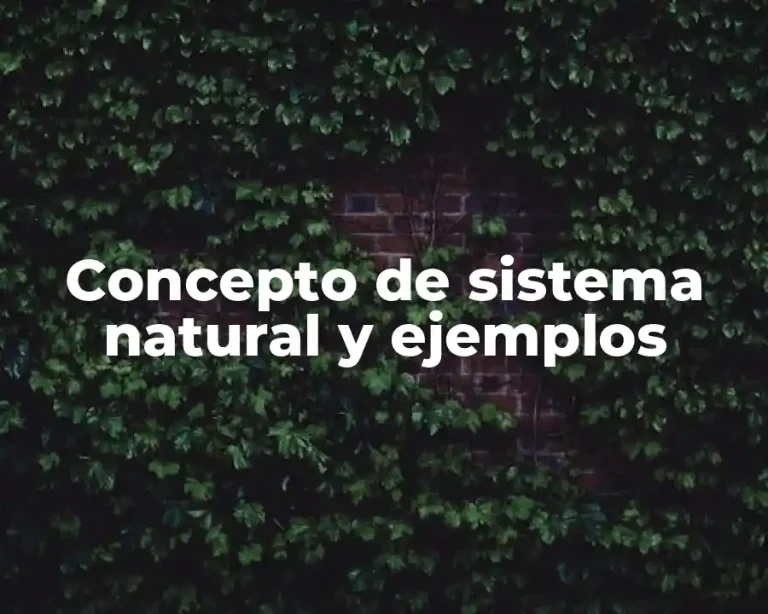 Concepto de sistema natural y ejemplos