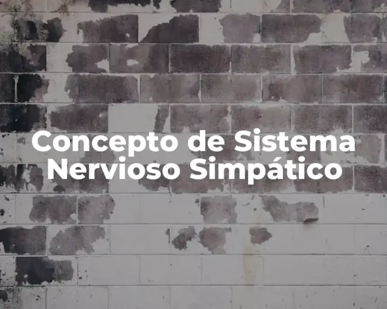 Concepto de Sistema Nervioso Simpático