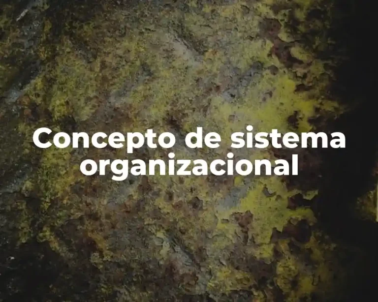 Concepto de sistema organizacional